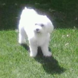 Meet your Posher, Michele